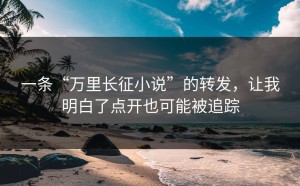 一条“万里长征小说”的转发，让我明白了点开也可能被追踪