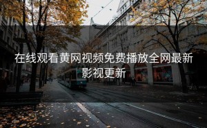 在线观看黄网视频免费播放全网最新影视更新