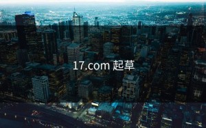 17.com 起草
