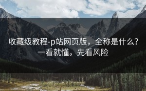 收藏级教程-p站网页版，全称是什么？一看就懂，先看风险