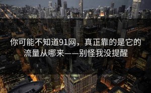 你可能不知道91网，真正靠的是它的流量从哪来——别怪我没提醒