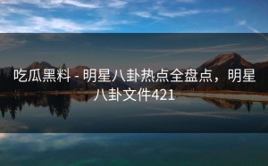 吃瓜黑料 - 明星八卦热点全盘点，明星八卦文件421