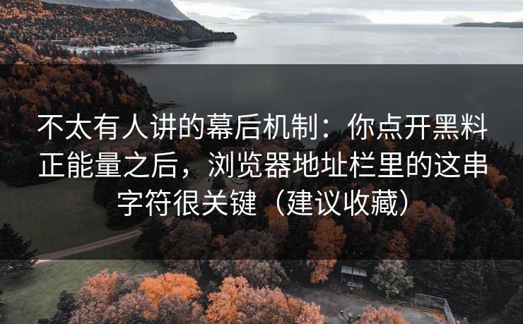 不太有人讲的幕后机制：你点开黑料正能量之后，浏览器地址栏里的这串字符很关键（建议收藏）