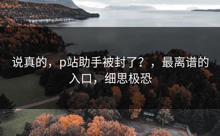 说真的，p站助手被封了？，最离谱的入口，细思极恐