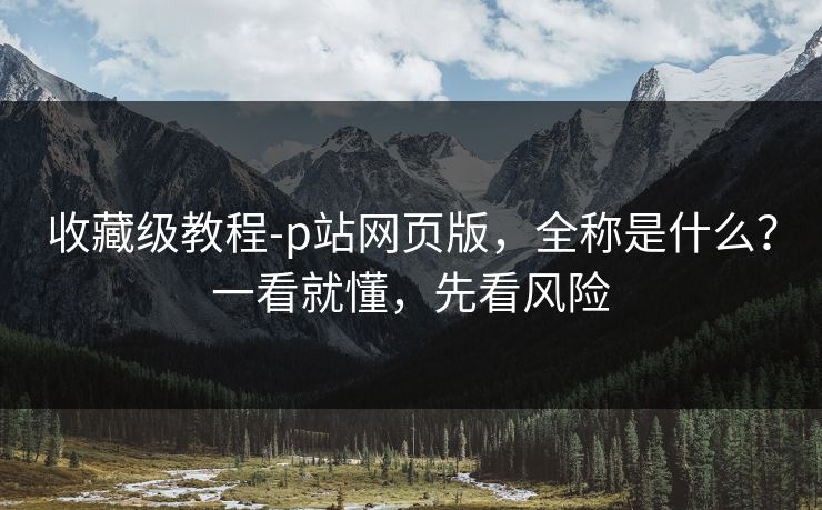 收藏级教程-p站网页版，全称是什么？一看就懂，先看风险