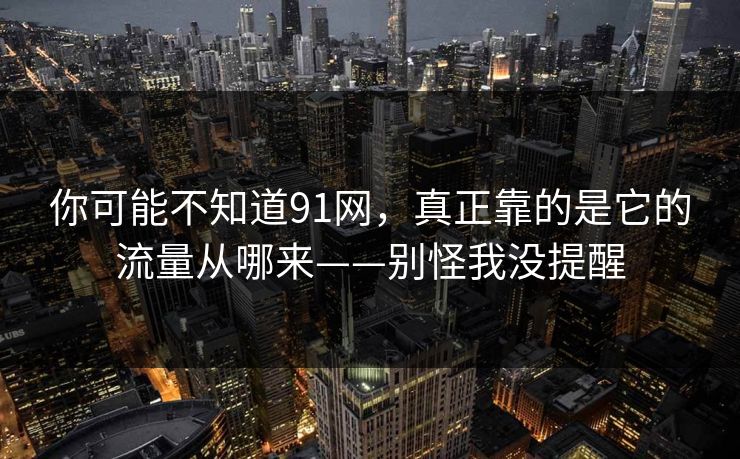 你可能不知道91网，真正靠的是它的流量从哪来——别怪我没提醒